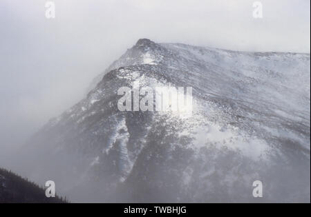 Lion's Head in Tuckerman Ravine am östlichen Hang des Mount Washington während whiteout Bedingungen in den White Mountains, New Hampshire USA. Stockfoto