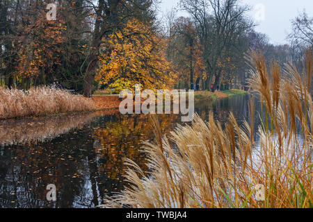 Lazienki Park oder Königlichen Bäder Park im Herbst in Warschau. Polen Stockfoto