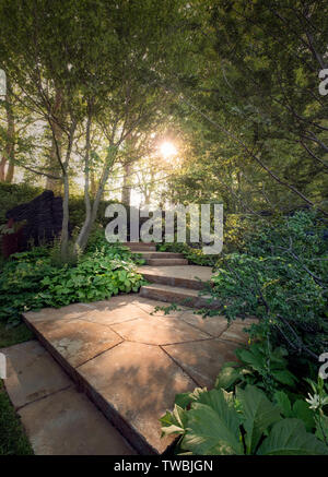 Die Sonne scheint durch die Bäume im M & G Showgarten auf der Chelsea Flower Show in London, Großbritannien. Stockfoto