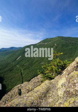Crawford Notch vom Mount Willard in den White Mountains, New Hampshire. Mount Willey können auf der rechten Seite gesehen werden. Die Route der alten Maine Central Rai Stockfoto
