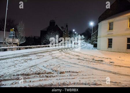 "Tier aus dem Osten' Schnee in Edinburgh, Edinburgh, Schottland Bild Copyright Chris Watt - Tel.: 07887 554 193 Info@chriswatt.com www.chriswatt.com Stockfoto