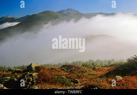 Appalachian Trail - Bergblick von entlang der Crawford Pfad in der Nähe von Mount Pierce in der Presidential Range auf die White Mountains, New Hampshire U Stockfoto