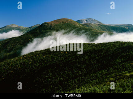 Blick von entlang der Appalachian Trail (Crawford Pfad), in der Nähe von Mount Pierce, in der Presidential Range der New Hampshire White Mountains. Stockfoto