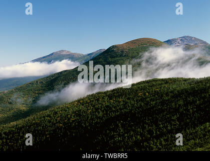 Blick von entlang der Appalachian Trail (Crawford Pfad), in der Nähe von Mount Pierce, in der Presidential Range der New Hampshire White Mountains. Stockfoto