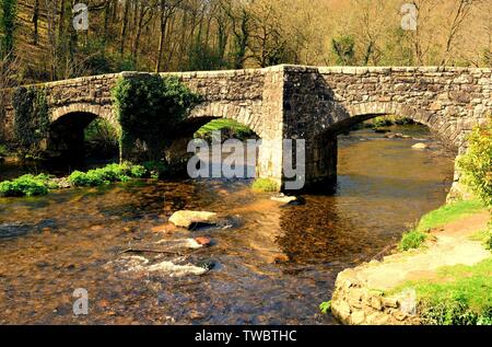 Das fingle Brücke über den Fluss Teign, in den Dartmoor National Park. Stockfoto