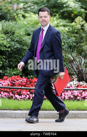 Staatssekretär für Wohnungswesen Gemeinschaften und lokale Regierung James Brokenshire kommt an der Downing Street die wöchentliche Kabinettssitzung zu besuchen. Stockfoto