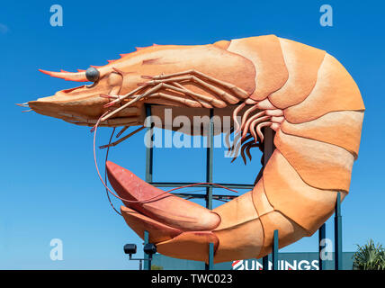 Die große Garnelen in Ballina, New South Wales, Australien Stockfoto