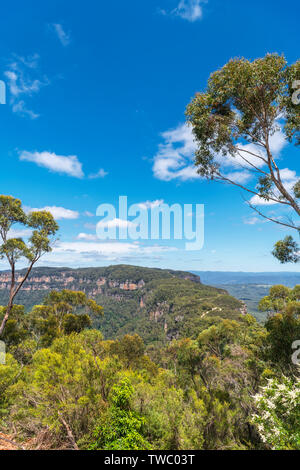 Blick über die Blue Mountains von Narrow Neck Lookout, Katoomba, New South Wales, Australien Stockfoto