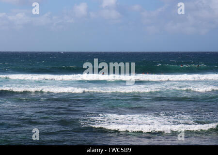 Elf Surfer im Pazifischen Ozean, die das Paddeln zu einem Wellen und Fertig zum Surfen in Ho'okipa Strand auf Maui, Hawaii, USA Stockfoto