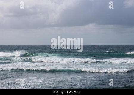 Sechs Windsurfer und sechs Surfer fang Wellen in den Pazifischen Ozean in Ho'okipa Beach, Maui, Hawaii, USA Stockfoto