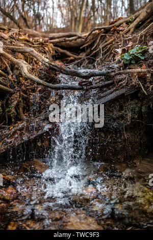 Ein kleiner Wasserfall in einem natürlichen Bach, läuft schnell mit Frühling Schnee schmelzen, Stockfoto