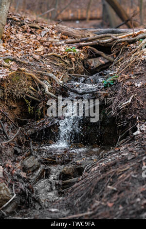 Ein kleiner Wasserfall in einem natürlichen Bach, läuft schnell mit Frühling Schnee schmelzen, Stockfoto