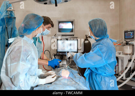 Tierarzt oder Ärzte Chirurgie in der Klinik. Medizin, Haustier, Tiere, Gesundheit und Personen Konzept. Stockfoto