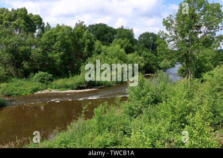 Der kleine Fluss Zschopau in Frankenberg in Sachsen Stockfoto