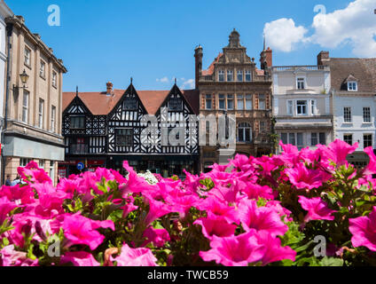 Sommer Blumen auf dem Platz, Shrewsbury, Shropshire, England, Großbritannien Stockfoto