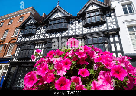 Sommer Blumen auf dem Platz, Shrewsbury, Shropshire. Stockfoto