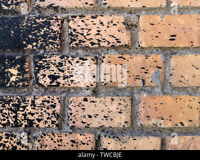 Grobe peach brick wall spritzte mit schwarzem Harz. Stockfoto