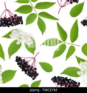 Holunder nahtlose Muster mit Zweig, Beeren, Blätter, Blumen. Sambucus nigra Schwarzer Holunder Pflanze, Europäischen Holunder. Vector Illustration. Für Lebensmittel Stock Vektor