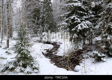 Kleiner Fluss im Winter Wald Stockfoto