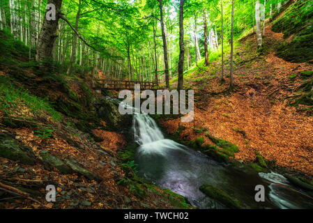 Sommer Berg Farben der "Alten", Stara reka finden, an der Central Balkan National Park in Bulgarien Stockfoto