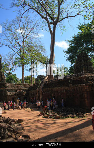 Angkor Wat, Kambodscha - Mai 1, 2013: Touristen zu Fuß den Weg von und zu den wichtigsten Tempel in Angkor Wat außerhalb von Siem Reap. Stockfoto