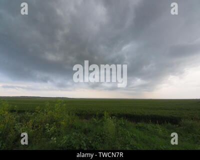 Harty, Kent, Großbritannien. Juni, 2019 19. UK Wetter: Sturm Wolken über Harty in Kent. Credit: James Bell/Alamy leben Nachrichten Stockfoto