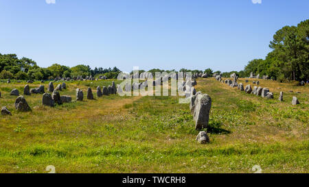 Schöne Sicht auf die standing stones Ausrichtungen, Menhire in Carnac, Bretagne, Frankreich. Megalithische Wahrzeichen Stockfoto