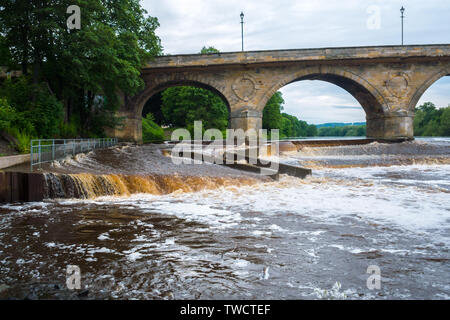 Den Fluss Tyne fließt in Hexham Hexham Brücke Stockfoto