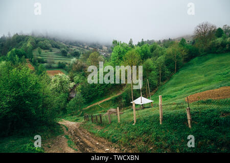 Schöne Natur Berge Landschaft im Nebel. Land straße am sonnigen Morgen. Lage - Karpaten, Ukraine, Europa. Konzept ökologie Schutz. Stockfoto