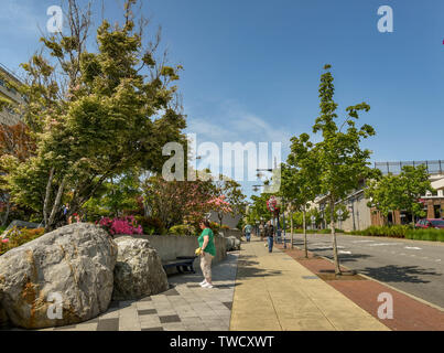 BREMERTON, Washington State, USA - JUNI 2018: Besucher bewundern die Park- und Gartenanlagen im Zentrum von Bremerton, WA. Stockfoto