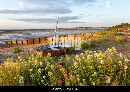 Wilden roten und weißen Baldrian am Strand von Seasalter an der Nord Küste von Kent in der Nähe von Whitstable. Ein kleines Segelboot auf dem Kies festgemacht. Stockfoto