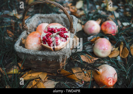 Der Granatapfel in den Obstkorb. Stockfoto
