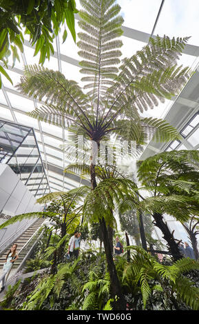 Der Sky Garden bei 20 Fenchurch Street ist eine eindeutige öffentliche Raum, erstreckt sich über drei Etagen und bietet 360 Grad Blick auf London Stockfoto