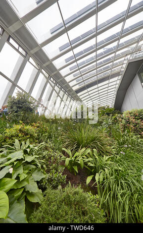 Der Sky Garden bei 20 Fenchurch Street ist eine eindeutige öffentliche Raum, erstreckt sich über drei Etagen und bietet 360 Grad Blick auf London Stockfoto