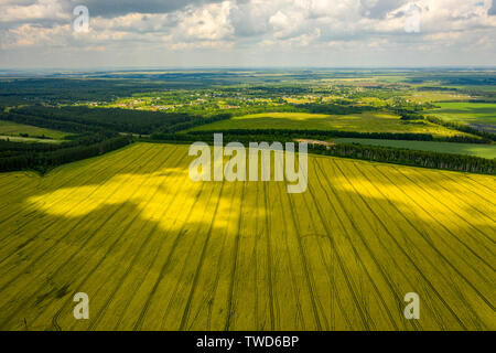 Blick von der Quadrocopter auf dem Gebiet der blühende Raps mit komplizierten Mustern von Wolken im Himmel schweben. Stockfoto