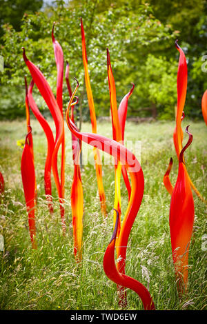 Chihuly Reflexionen über die Natur Glas Künstler bei der Kew Gardens Stockfoto