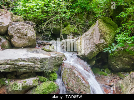 Der Bach fließt unten zwischen den großen Steinen. Selektive konzentrieren. Stockfoto