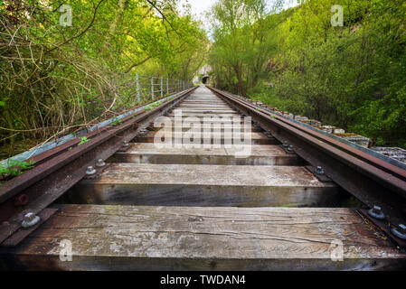 Abgebrochene Eisenbahnbrücke von einer üppigen Vegetation umgeben ist. Stockfoto