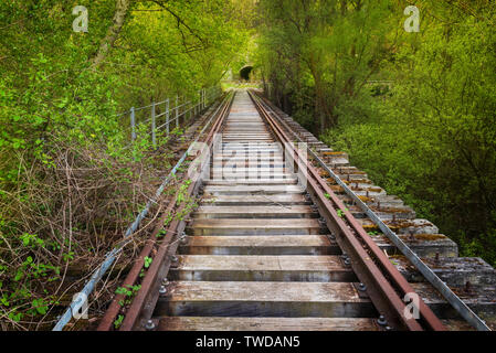 Abgebrochene Eisenbahnbrücke von einer üppigen Vegetation umgeben ist. Stockfoto