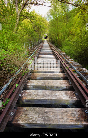 Abgebrochene Eisenbahnbrücke von einer üppigen Vegetation umgeben ist. Stockfoto