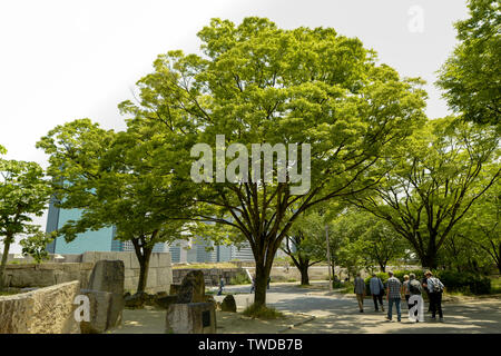 Osaka, Japan, 29., Mai, 2017. Die Osaka Castle Park. Osaka Castle ist eines der bekanntesten Wahrzeichen Japans. Stockfoto