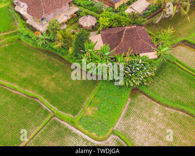 Bild des Schönen terrassierten Reisfeldern in Wasser und Bewässerung von Drone, Ansicht von oben von rices Paddy Stockfoto