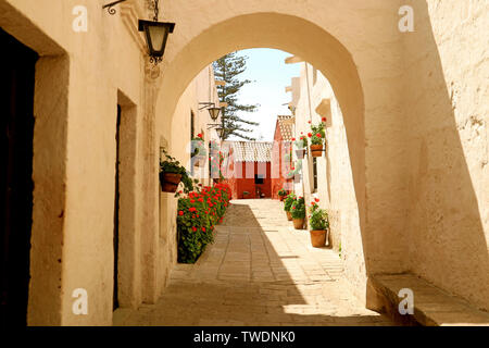 Weißer Bogen auf die Gasse voller rot blühenden Sträuchern und mit einem an der Wand hängenden Pflanzgefäße im Kloster von Santa Catalina, Arequipa, Peru Stockfoto