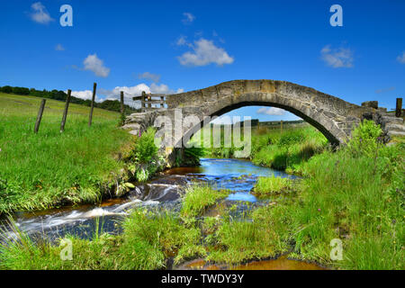 Strines Brücke, untere Strines, Colden Wasser, alte Packesel Brücke über den Fluss, Jack Bridge, Colden, südlichen Pennines, Calderdale, West Yorkshire Stockfoto