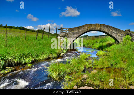 Strines Brücke, untere Strines, Colden Wasser, alte Packesel Brücke über den Fluss, Jack Bridge, Colden, südlichen Pennines, Calderdale, West Yorkshire Stockfoto