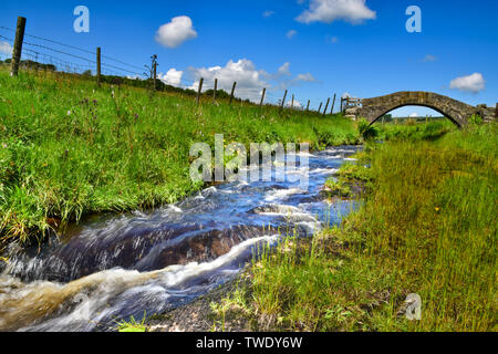 Strines Brücke, untere Strines, Colden Wasser, alte Packesel Brücke über den Fluss, Jack Bridge, Colden, südlichen Pennines, Calderdale, West Yorkshire Stockfoto