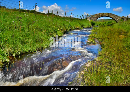 Strines Brücke, untere Strines, Colden Wasser, alte Packesel Brücke über den Fluss, Jack Bridge, Colden, südlichen Pennines, Calderdale, West Yorkshire Stockfoto