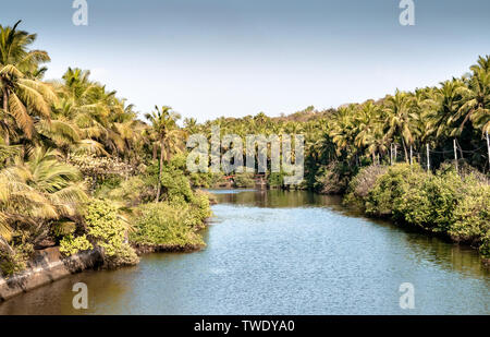 Landschaftlich schöne Blick auf die Backwaters von Kerala, von der Brücke vor. Stockfoto