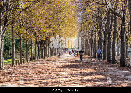 Paris, Frankreich, 11. Oktober 2018: Avenue des Champs-Elysees, der Name ist Französisch für den Elysischen Feldern, das Paradies für tote Helden in der Griechischen Mythologie Stockfoto