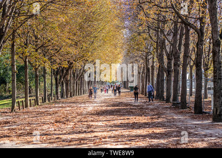 Paris, Frankreich, 11. Oktober 2018: Avenue des Champs-Elysees, der Name ist Französisch für den Elysischen Feldern, das Paradies für tote Helden in der Griechischen Mythologie Stockfoto